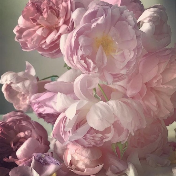 Meet your Posher, P - Picture 1 of 1